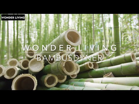 Bambus sommerdyne 140x200